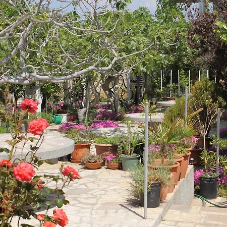 Triple 6476b Vendégház